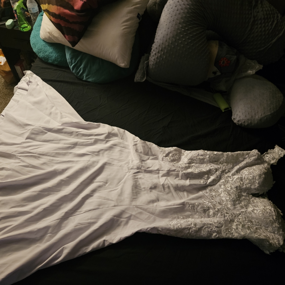 Elegant White Lace Wedding Dress - Picture 10 of 10